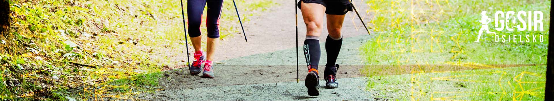 nordic walking